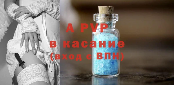 молекула духа Богородицк