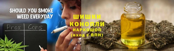 молекула духа Богородицк