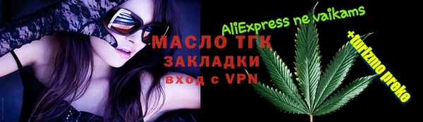 молекула духа Богородицк