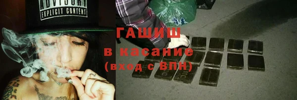 молекула духа Богородицк