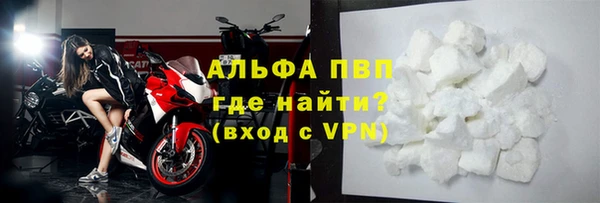 экстази Богданович