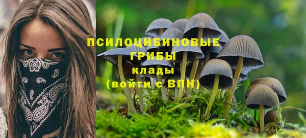 экстази Богданович