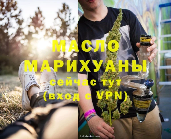 молекула духа Богородицк
