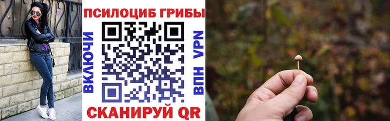 даркнет клад Ижевск Псилоцибиновые грибы прущие грибы закладка